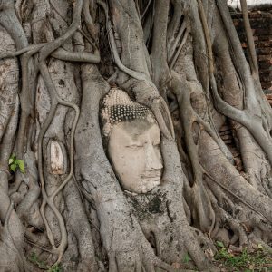 Bhudha Head