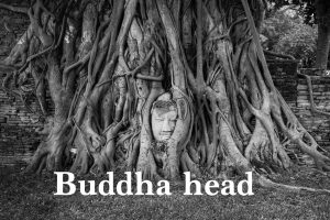 Buddha head