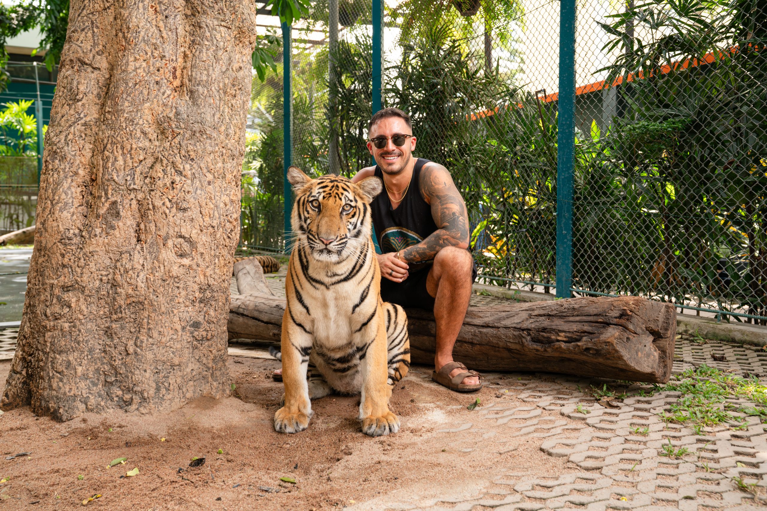 Tiger Park Pattaya